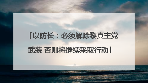 以防长：必须解除黎真主党武装 否则将继续采取行动