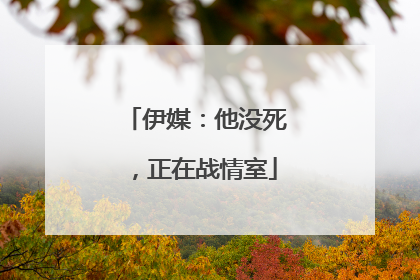 伊媒：他没死，正在战情室