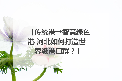 传统港→智慧绿色港 河北如何打造世界级港口群？