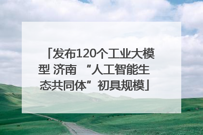 发布120个工业大模型 济南 “人工智能生态共同体”初具规模