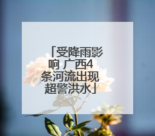 受降雨影响 广西4条河流出现超警洪水