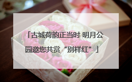 古城荷韵正当时 明月公园邀您共赏“别样红”