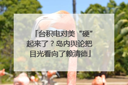 台积电对美“硬”起来了？岛内舆论把目光看向了赖清德