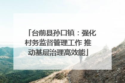 台前县孙口镇：强化村务监督管理工作 推动基层治理高效能