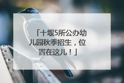 十堰5所公办幼儿园秋季招生，位置在这儿！