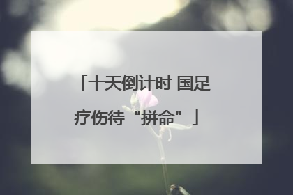 十天倒计时 国足疗伤待“拼命”