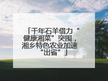 千年石羊借力“健康湘菜”突围，湘乡特色农业加速“出省”