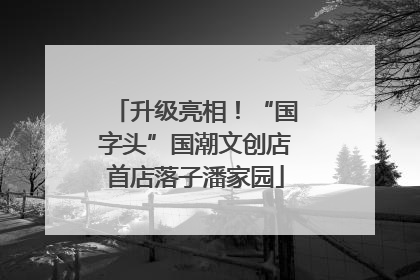 升级亮相！“国字头”国潮文创店首店落子潘家园