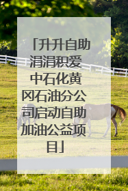 升升自助 涓涓积爱 中石化黄冈石油分公司启动自助加油公益项目