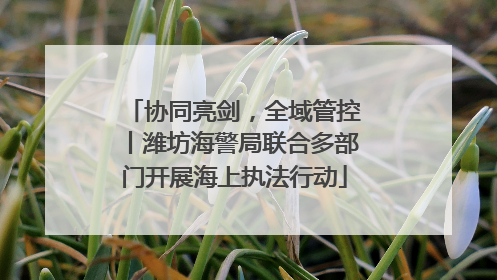 协同亮剑，全域管控丨潍坊海警局联合多部门开展海上执法行动