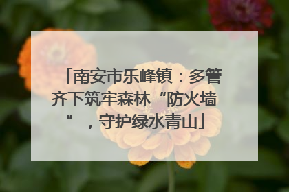 南安市乐峰镇：多管齐下筑牢森林“防火墙”，守护绿水青山