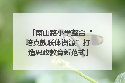 南山路小学整合“培真教联体资源”打造思政教育新范式