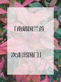 南靖国兰首次走出国门