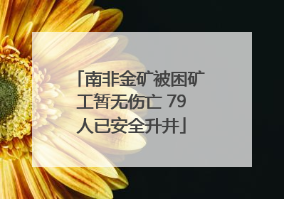 南非金矿被困矿工暂无伤亡 79人已安全升井