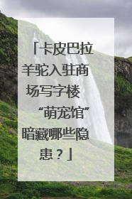 卡皮巴拉羊驼入驻商场写字楼 “萌宠馆”暗藏哪些隐患？