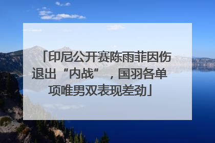 印尼公开赛陈雨菲因伤退出“内战”，国羽各单项唯男双表现差劲