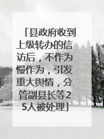 县政府收到上级转办的信访后，不作为慢作为，引发重大舆情，分管副县长等25人被处理