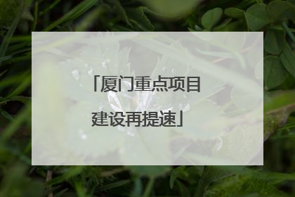 厦门重点项目建设再提速