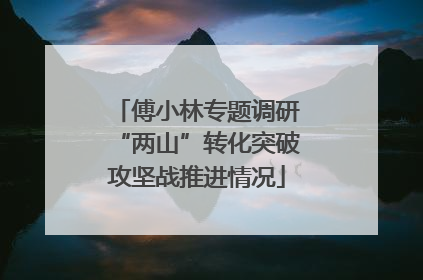 傅小林专题调研“两山”转化突破攻坚战推进情况