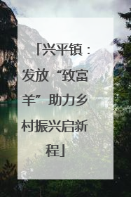 兴平镇：发放“致富羊”助力乡村振兴启新程