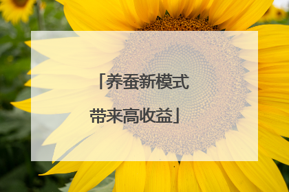 养蚕新模式带来高收益