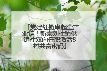 党建红链串起全产业链！新泰刘杜镇供销社双向任职激活8村共富密码