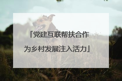 党建互联帮扶合作 为乡村发展注入活力