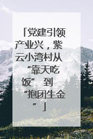党建引领产业兴，紫云小湾村从 “靠天吃饭” 到 “抱团生金”