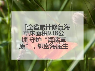 全省累计修复海草床面积938公顷 守护“海底草原”，织密海底生态“一张网”