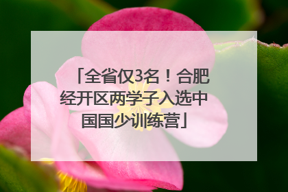 全省仅3名！合肥经开区两学子入选中国国少训练营