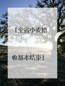 全省小麦抢收基本结束