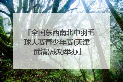 全国东西南北中羽毛球大赛青少年赛(天津武清)成功举办