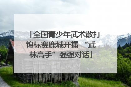 全国青少年武术散打锦标赛鹿城开擂 “武林高手”强强对话