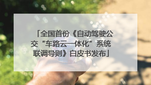 全国首份《自动驾驶公交“车路云一体化”系统联调导则》白皮书发布