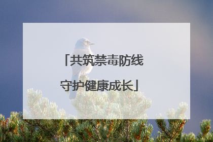 共筑禁毒防线 守护健康成长