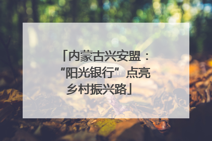 内蒙古兴安盟：“阳光银行”点亮乡村振兴路