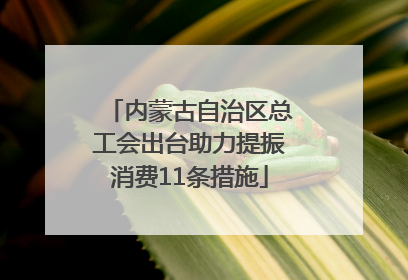 内蒙古自治区总工会出台助力提振消费11条措施