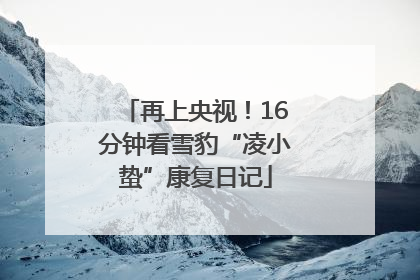 再上央视！16分钟看雪豹“凌小蛰”康复日记