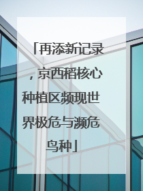 再添新记录，京西稻核心种植区频现世界极危与濒危鸟种