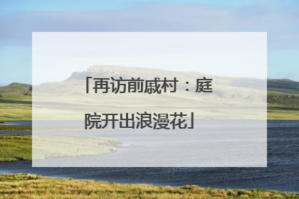 再访前戚村：庭院开出浪漫花