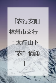 农行安阳林州市支行：太行山下“农”情涌