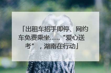 出租车招手即停、网约车免费乘坐……“爱心送考”，湖南在行动