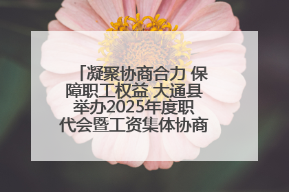凝聚协商合力 保障职工权益 大通县举办2025年度职代会暨工资集体协商现场观摩交流活动
