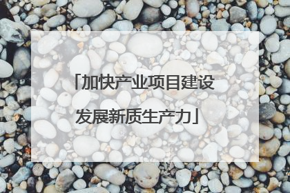 加快产业项目建设 发展新质生产力