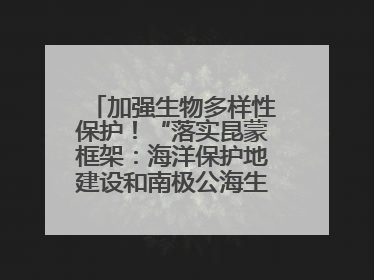 加强生物多样性保护！“落实昆蒙框架：海洋保护地建设和南极公海生态保护”主题论坛将举办
