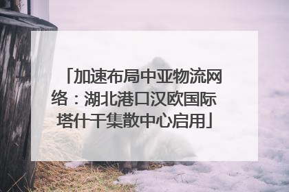 加速布局中亚物流网络：湖北港口汉欧国际塔什干集散中心启用