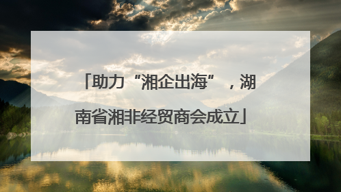 助力“湘企出海”，湖南省湘非经贸商会成立