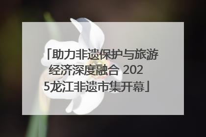 助力非遗保护与旅游经济深度融合 2025龙江非遗市集开幕