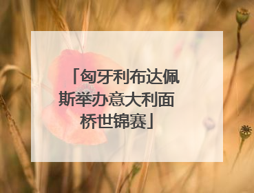 匈牙利布达佩斯举办意大利面桥世锦赛