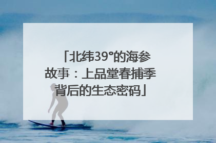 北纬39°的海参故事：上品堂春捕季背后的生态密码